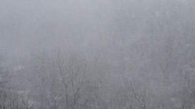 Kışın kar fırtınası.