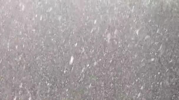 Blizzard Zimą — Wideo stockowe