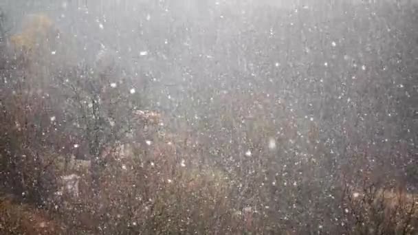 冬天的暴雪 慢动作 — 图库视频影像
