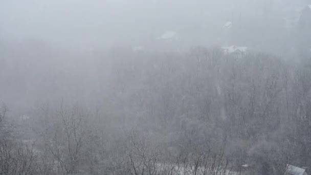 冬天的暴雪 — 图库视频影像