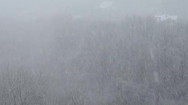 Schneesturm Winter — Stockvideo