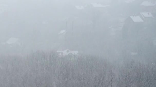 Blizzard Winter — Stockvideo