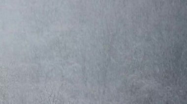 Kışın kar fırtınası.