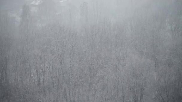 冬天的暴雪 — 图库视频影像