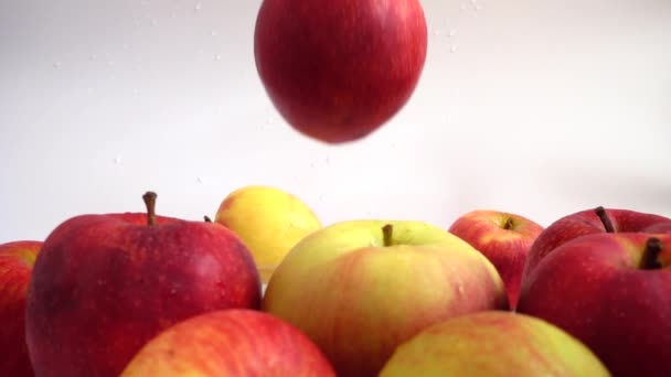 Μήλο Πέφτει Στο Νερό Αργή Κίνηση — Αρχείο Βίντεο