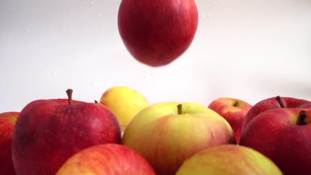 Manzana Cae Agua Movimiento Lento — Vídeos de Stock