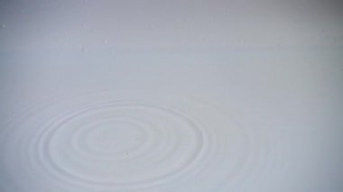 Limon dilimlerinin düşüşü. Yavaş çekim.