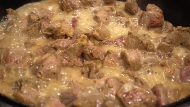 铁锅中牛肉的配制 — 图库视频影像