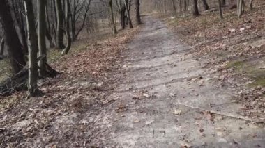 Yay ağacının çekiminde..