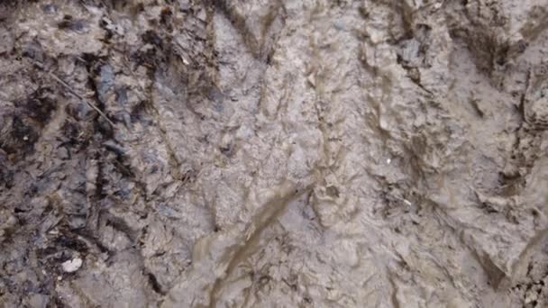 Fusillade. Route humide en argile .