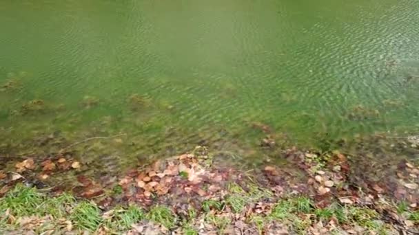 Lago Primavera Tiroteio Tarde — Vídeo de Stock