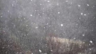 Kışın kar fırtınası. Yavaş çekim.