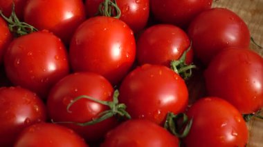 Cherie 'nin domatesleri. Harekette çekim..