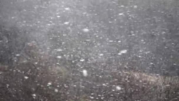 Kışın Kar Fırtınası Yavaş Çekim — Stok video