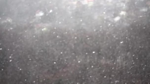 Зимовий Снігопад Повільний Рух — стокове відео