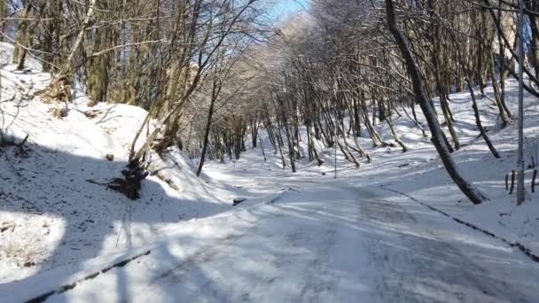 Winterpark Schnee Und Sonne — Stockvideo