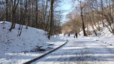 LVIV, UKRAINE - FEBRUARY 8, 2020: Winter park. Snow and sun.
