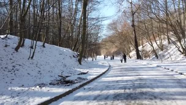 Lviv Ucrania Febrero 2020 Parque Invierno Nieve Sol — Vídeo de stock