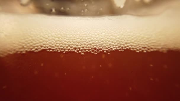 ガラスの中のビール マクロ撮影 — ストック動画