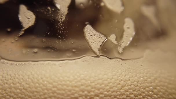 Une Bière Dans Verre Prise Vue Macro — Video