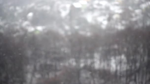 Tiro Queda Neve Inverno — Vídeo de Stock