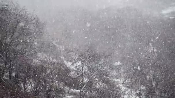 Стрельба Падает Снег Зимой — стоковое видео