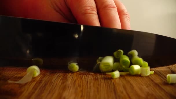 Cocinero Corta Las Cebollas Verdes Movimiento Lento — Vídeo de stock