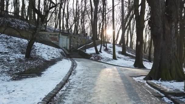 Дорога Парку Зйомки Взимку — стокове відео