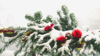 Karların altında oyuncaklarla süslenmiş Noel ağacının dalları.