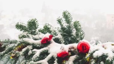 Karların altında oyuncaklarla süslenmiş Noel ağacının dalları.