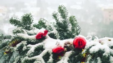 Karların altında oyuncaklarla süslenmiş Noel ağacının dalları.
