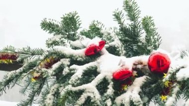 Karların altında oyuncaklarla süslenmiş Noel ağacının dalları.