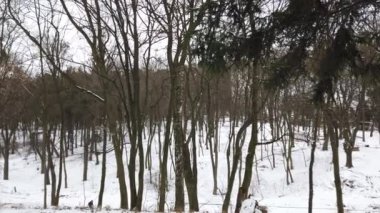 Kış Parkı. Kışın çekim..