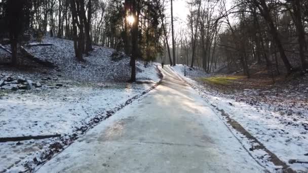 公園内の道路 冬の射撃 — ストック動画