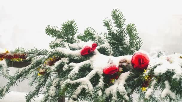 Takken Van Kerstboom Versierd Met Speelgoed Onder Sneeuw — Stockvideo