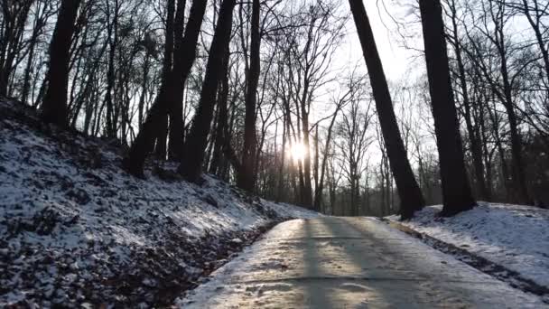 Route Dans Parc Tournage Hiver — Video