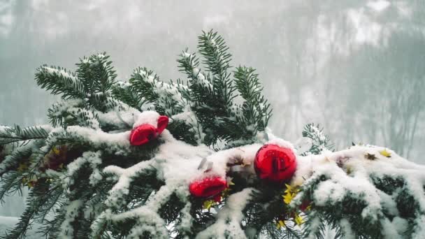 Zweige Des Weihnachtsbaums Mit Spielzeug Unter Schnee Geschmückt — Stockvideo