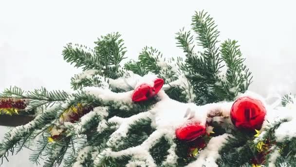 장난감으로 장식된 크리스마스 가지들 — 비디오