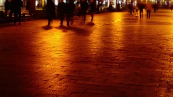 Movimento Delle Persone Lungo Viale Viale Notturno Scadenza Temporale — Video Stock