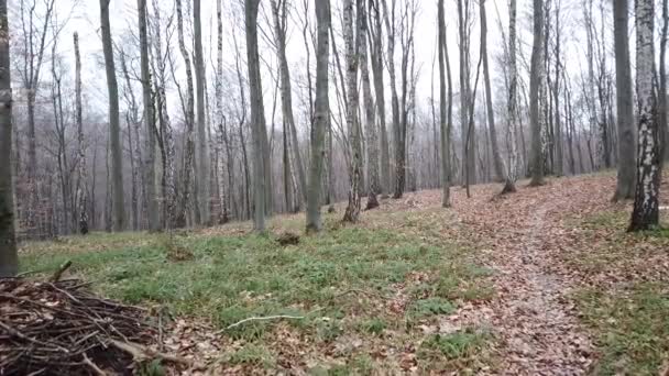 Tournage dans la forêt d'hiver.