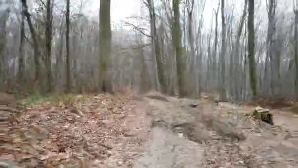 Tournage Dans Forêt Hiver Hyper Péremption — Video