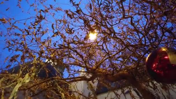 ツリーの枝を介してクリスマスの夜と街灯の光 — ストック動画