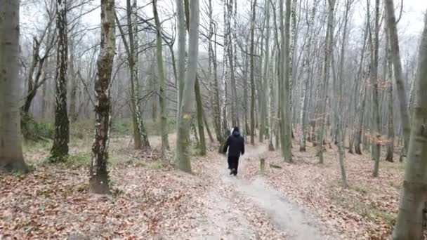 冬の森での撮影 — ストック動画