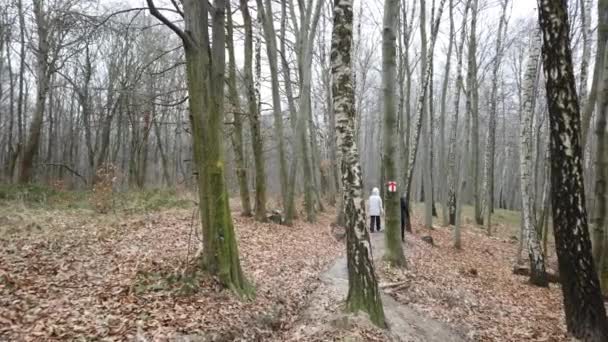 冬の森での撮影 — ストック動画