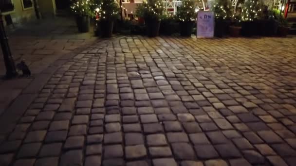 クリスマス休暇中の夜のカフェ — ストック動画