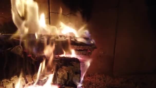 Oheň Krbu Fire Shooting — Stock video