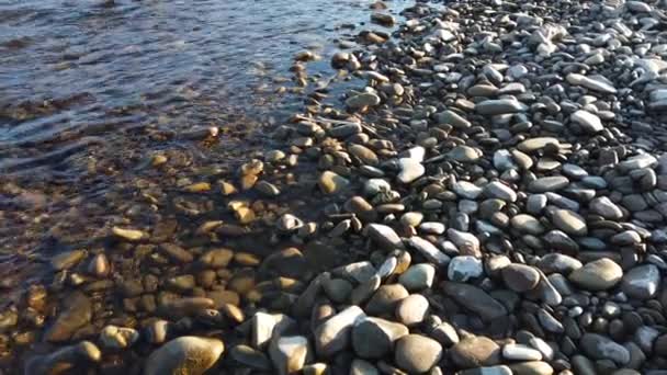 Río Montaña Disparos Orilla Del Río — Vídeos de Stock