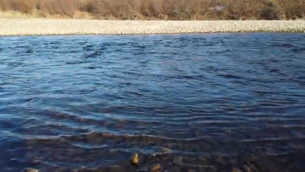 Río Montaña Disparos Orilla Del Río — Vídeos de Stock