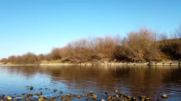 Bergsfloden Skjuter Flodstranden Tidsfrist — Stockvideo