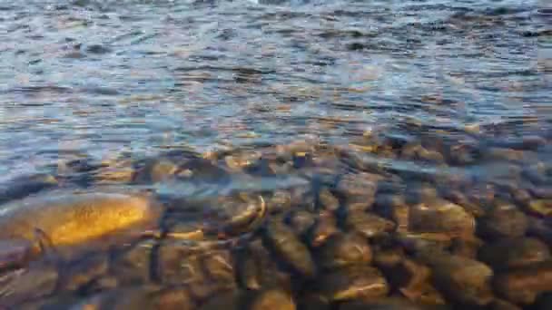 Pebbles Water Mountain River — Stock Video
